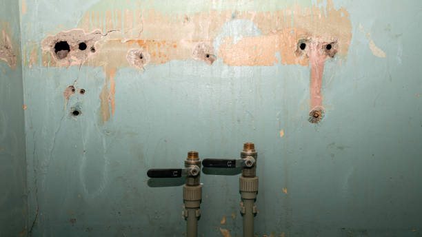 Best Flood damage cleanup  in Turner, OR
